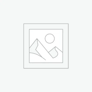 Uncategorized category